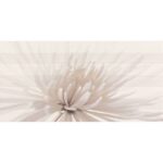 Декор Opoczno Avangarde Centro Flower 29,7x60 см